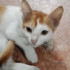 Profile picture of Ek