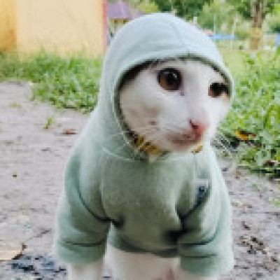 Profile picture of Zaky