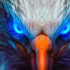 Profile picture of merlyndailo93@gmail.com