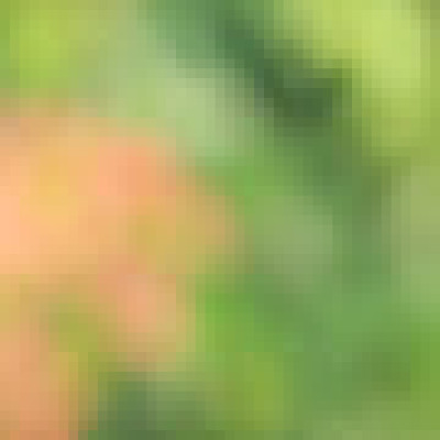Profile picture of shariful1234ah@gmail.com