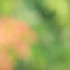 Profile picture of shariful1234ah@gmail.com