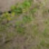 Profile picture of Mansoor