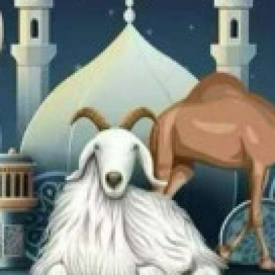 Profile picture of Dolon