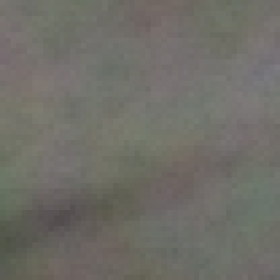Profile picture of Rain