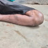 Profile picture of sujanmiah.miah@gmail.com