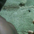 Profile picture of wilfridocuevaluis799@gmail.com
