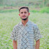 Profile picture of Mohin