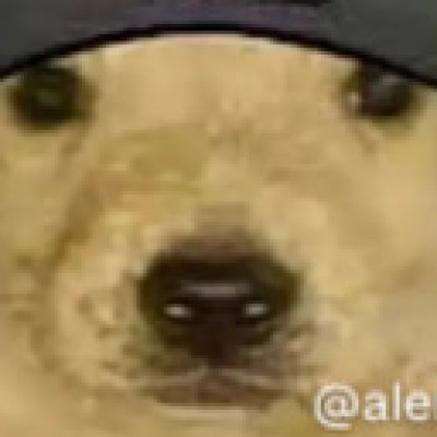 Profile picture of f3li3e