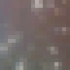 Profile picture of rajoy3292@gmail.com