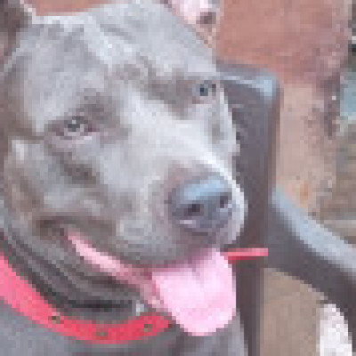 Profile picture of juan