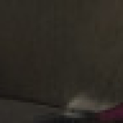 Profile picture of Bing