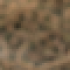 Profile picture of Miraj