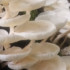Profile picture of tahfimhossainariyan@gmail.com