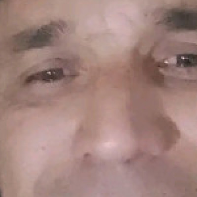 Profile picture of Draco