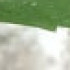 Profile picture of Jony