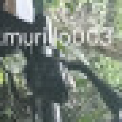 Profile picture of Stiven mesa