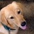Profile picture of Piyush kumar