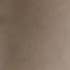 Profile picture of Guest