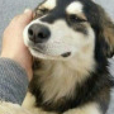 Profile picture of Julieta