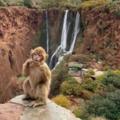 Profile picture of BADR