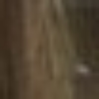 Profile picture of Alexis Ann