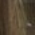 Profile picture of Alexis Ann