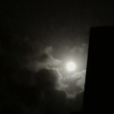 Profile picture of Comond