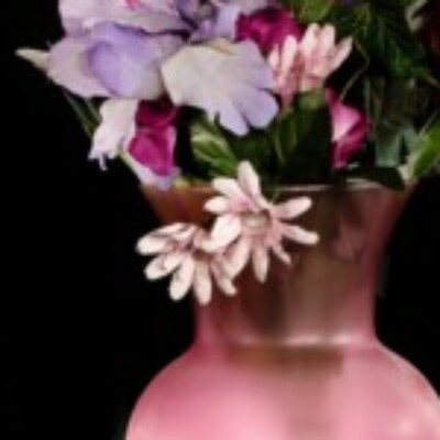 Profile picture of Suzanne