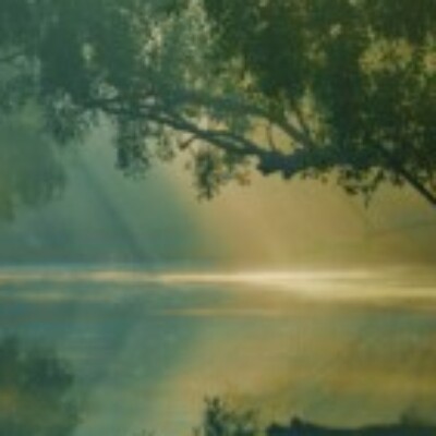 Profile picture of Noumm