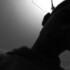 Profile picture of Zack