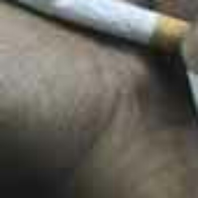 Profile picture of Noman