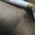 Profile picture of Noman