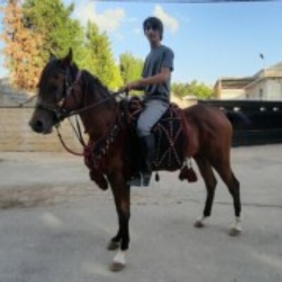 Profile picture of Khaled