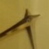 Profile picture of Ether