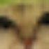 Profile picture of dan