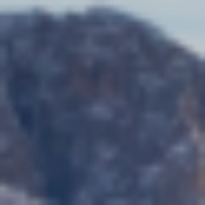 Profile picture of Everyone