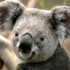 Profile picture of Albert123