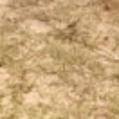 Profile picture of phirimarymumba