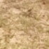 Profile picture of phirimarymumba