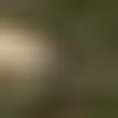 Profile picture of Patricia