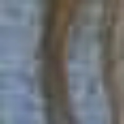 Profile picture of Elizabeth Kitson