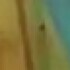 Profile picture of Ike