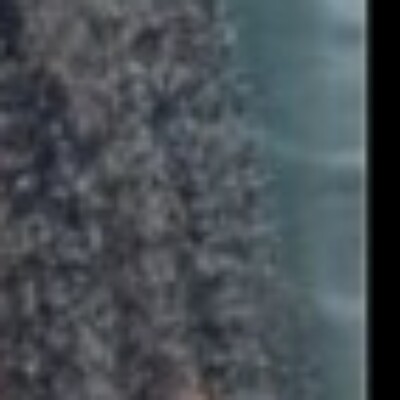 Profile picture of Ashley Adams