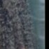 Profile picture of Ashley Adams