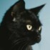 Profile picture of Joaco
