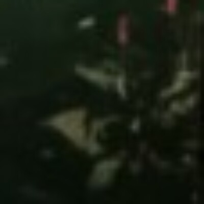 Profile picture of damenaeyerusalem672
