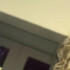 Profile picture of Bella