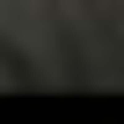 Profile picture of Idris