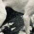 Profile picture of Kobystip