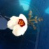 Profile picture of Sky